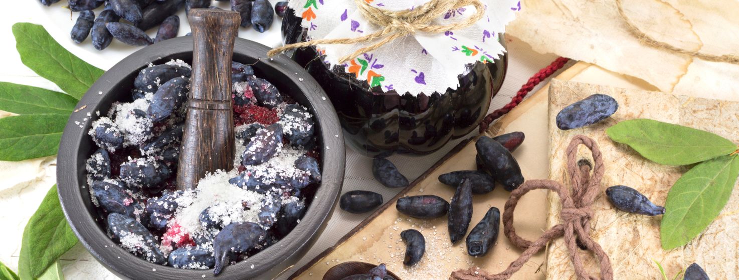 Alternative Ways to Study WV History