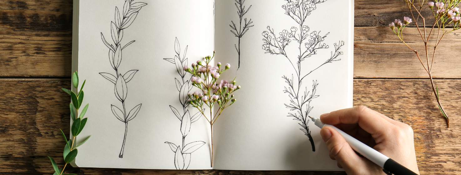 Nature Journaling Contest