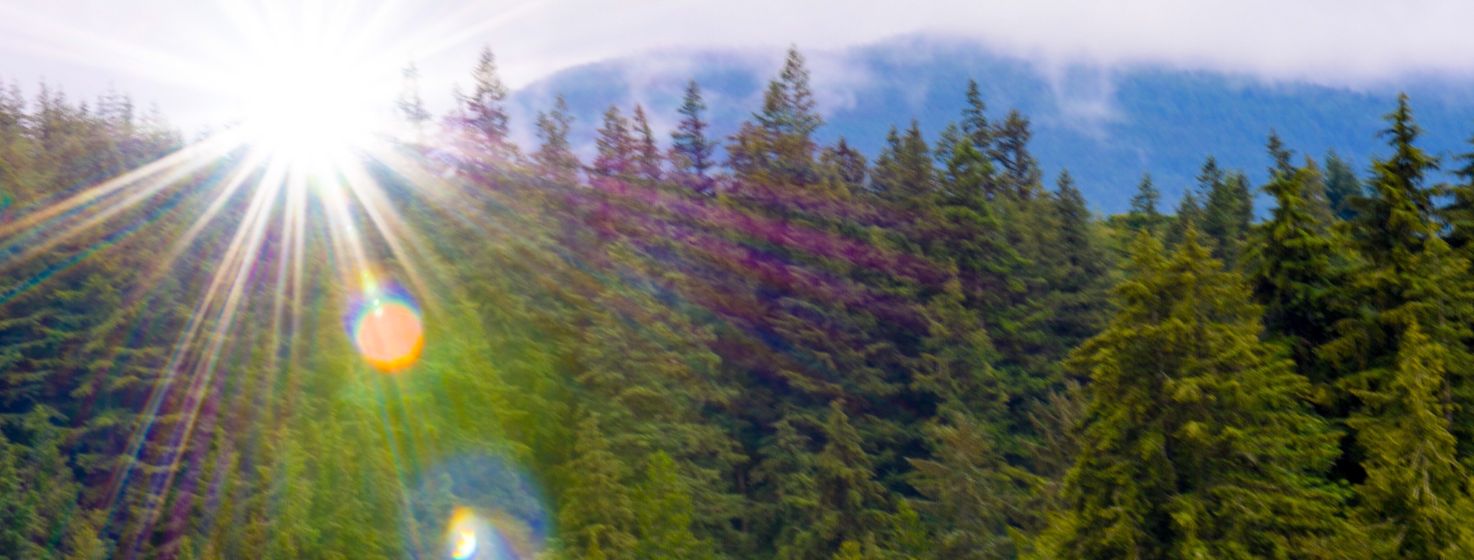 The Fear of the Lord is the Beginning of Wisdom